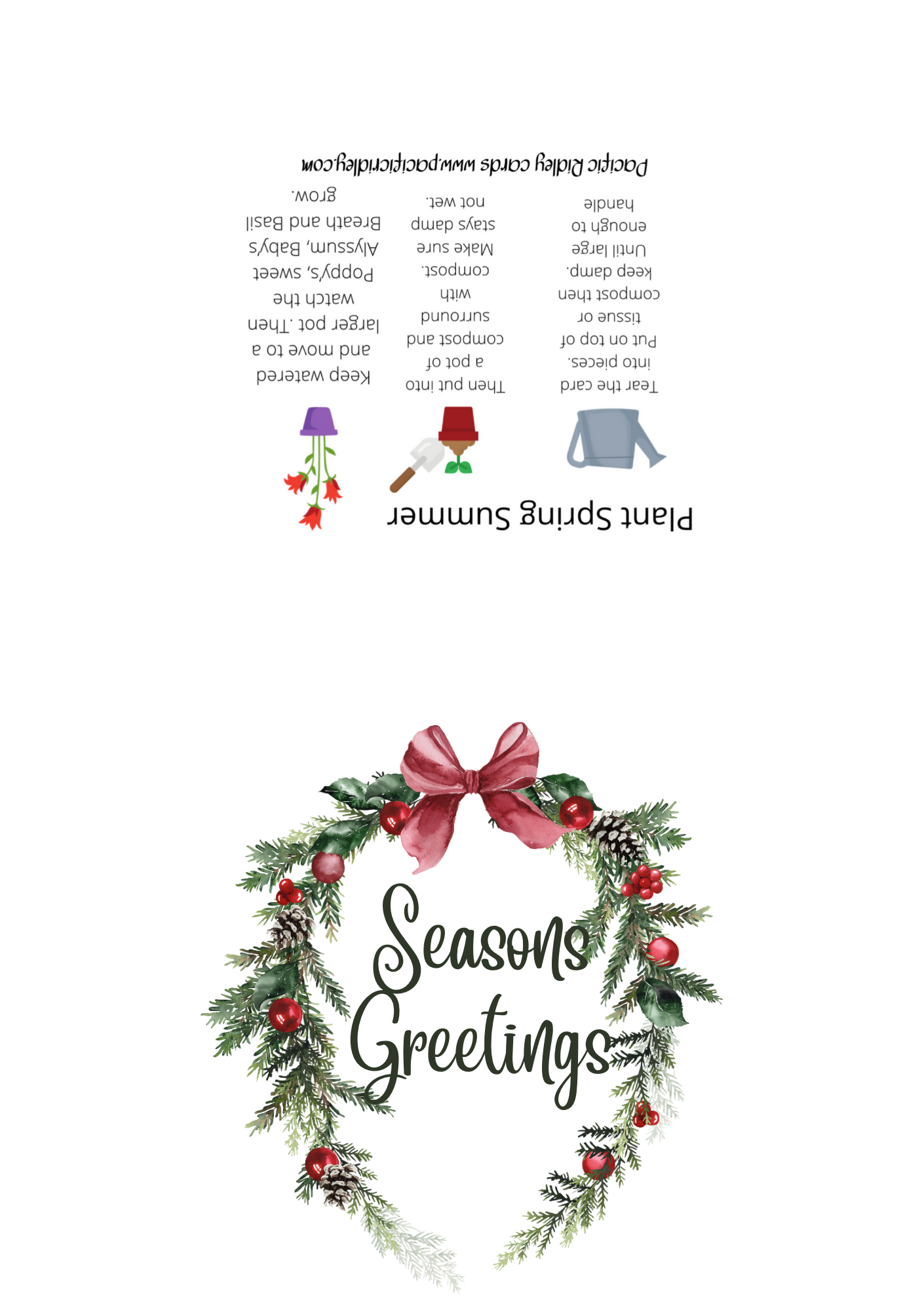 Packs of 5 Seeded Christmas cards, Eco friendly, reusable, unique gift for Gardners, waste free, Poppys, Basil, Sweet Alyssum, Baby’s Breath