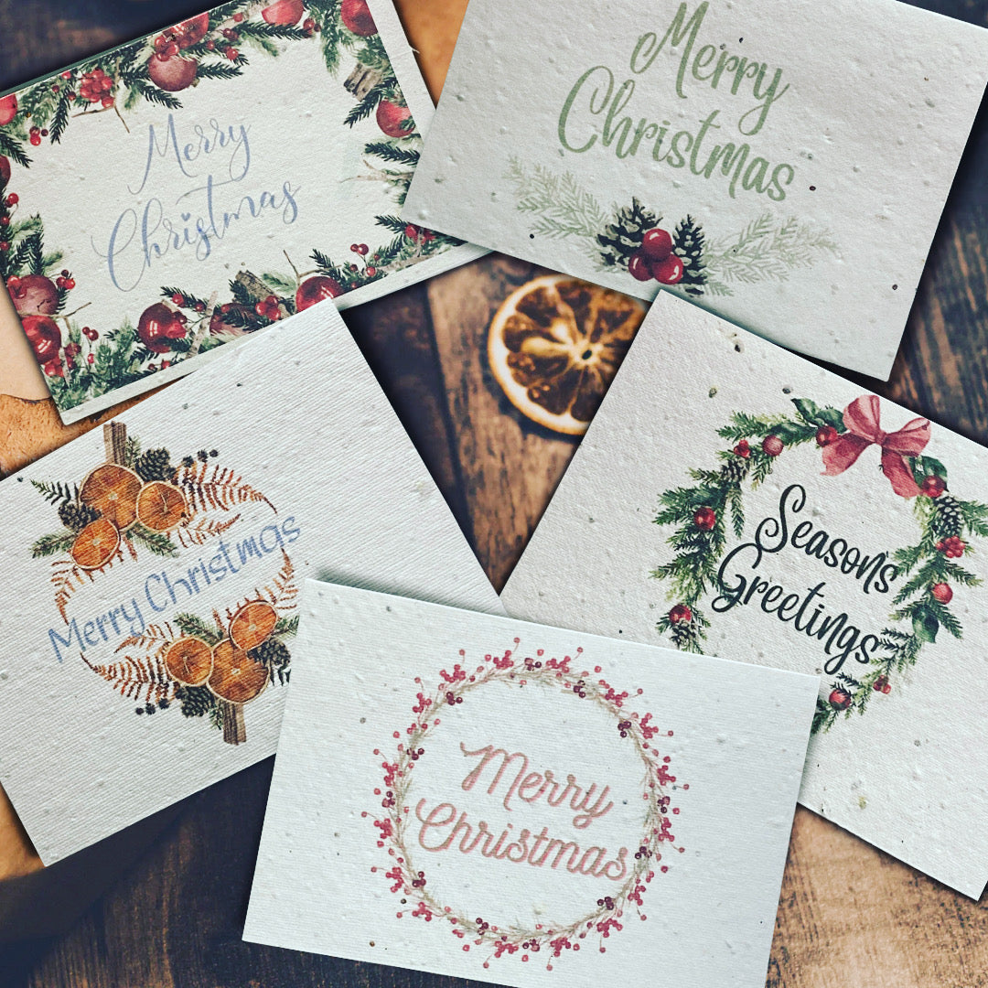 Packs of 5 Seeded Christmas cards, Eco friendly, reusable, unique gift for Gardners, waste free, Poppys, Basil, Sweet Alyssum, Baby’s Breath