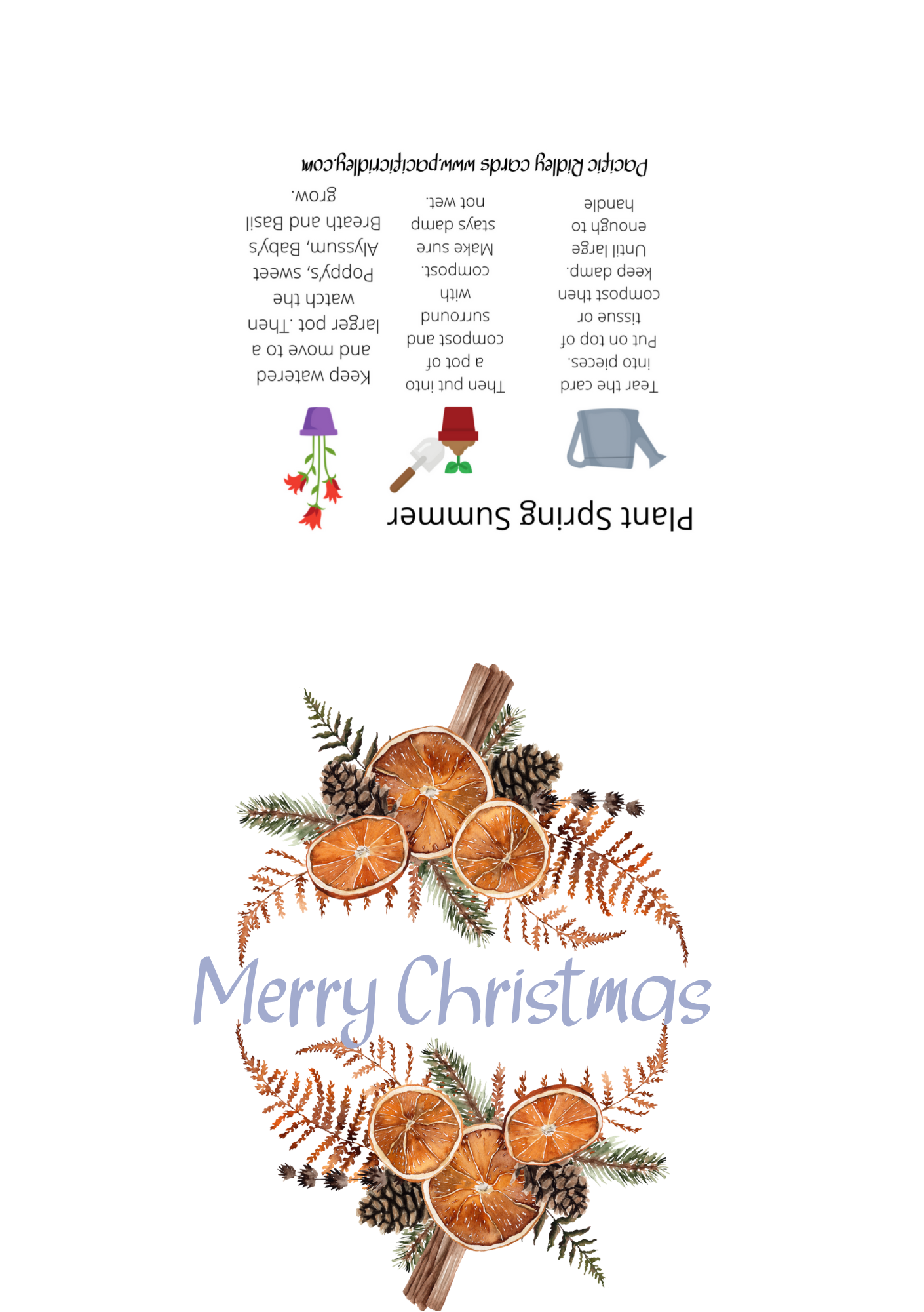 Packs of 5 Seeded Christmas cards, Eco friendly, reusable, unique gift for Gardners, waste free, Poppys, Basil, Sweet Alyssum, Baby’s Breath