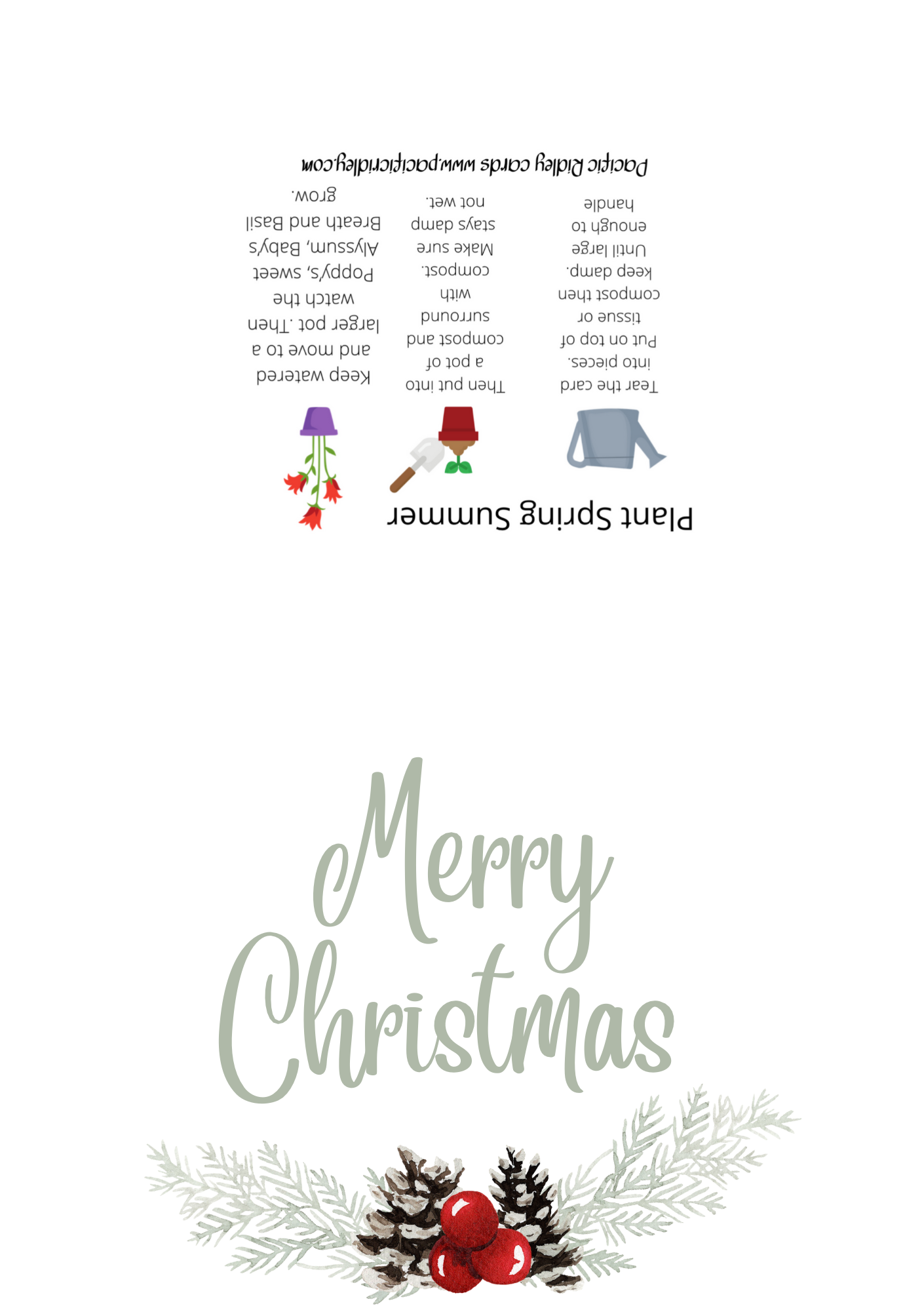 Packs of 5 Seeded Christmas cards, Eco friendly, reusable, unique gift for Gardners, waste free, Poppys, Basil, Sweet Alyssum, Baby’s Breath