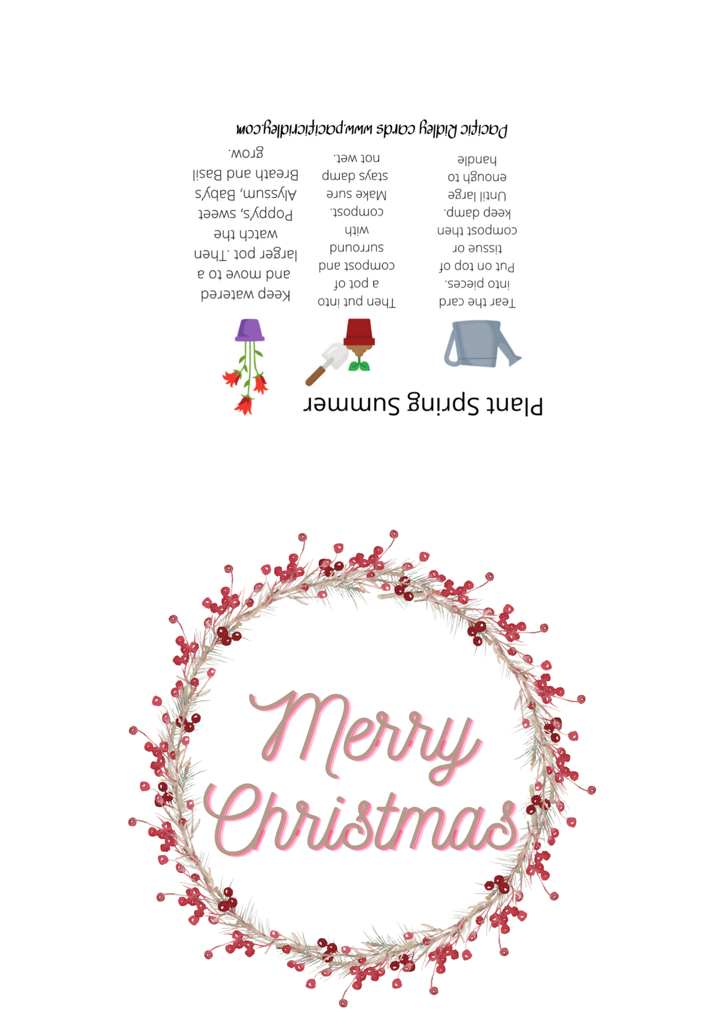 Packs of 5 Seeded Christmas cards, Eco friendly, reusable, unique gift for Gardners, waste free, Poppys, Basil, Sweet Alyssum, Baby’s Breath