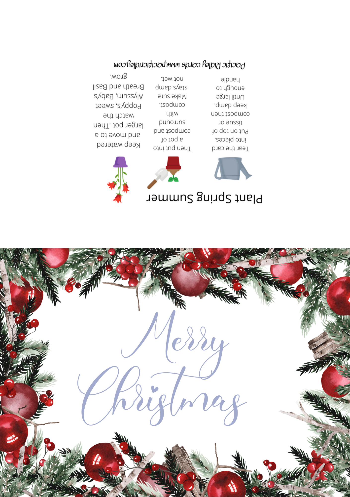 Packs of 5 Seeded Christmas cards, Eco friendly, reusable, unique gift for Gardners, waste free, Poppys, Basil, Sweet Alyssum, Baby’s Breath