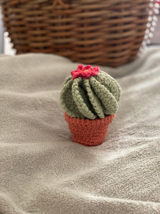 Crochet Cactus with flower, for plant lovers, Gardners, home decor, gifts