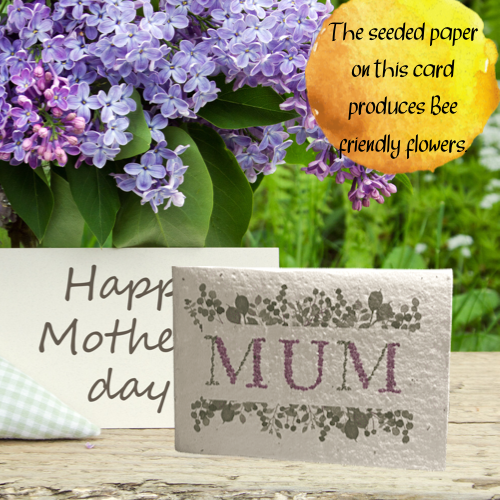 Plantable Seeded Mother’s Day Cards