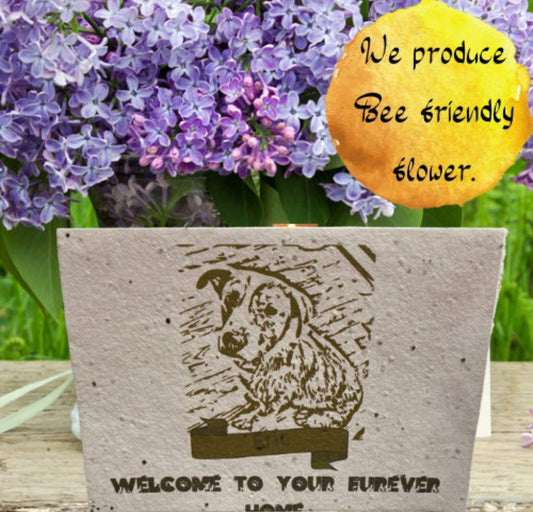 Seeded Pet cards that produce Bee friendly flowers.