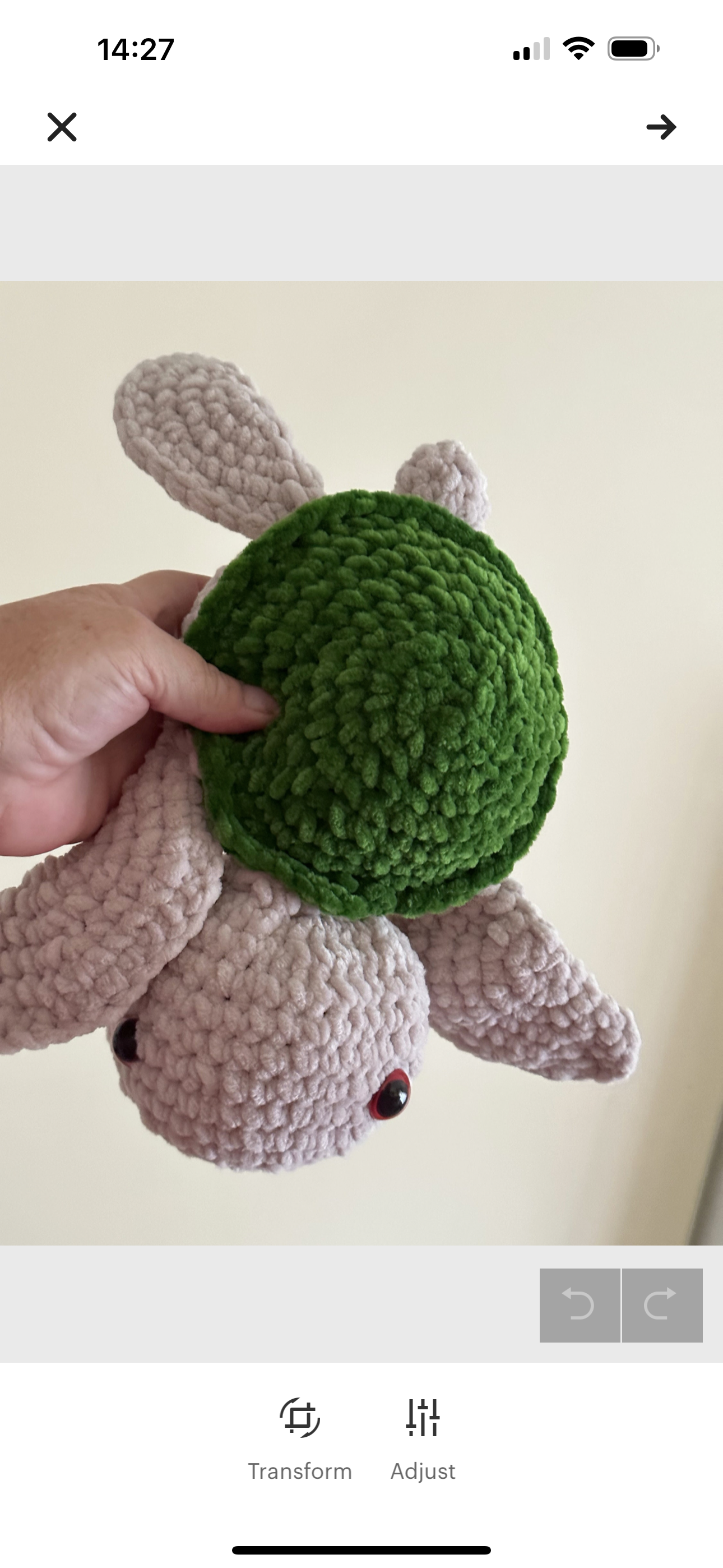 Pacific Ridley Turtle, Olive Ridley, Plushie, Cuddly, Gift Idea, recycled stuffing, Flutterby Yarn, friendship present, Amigurumi