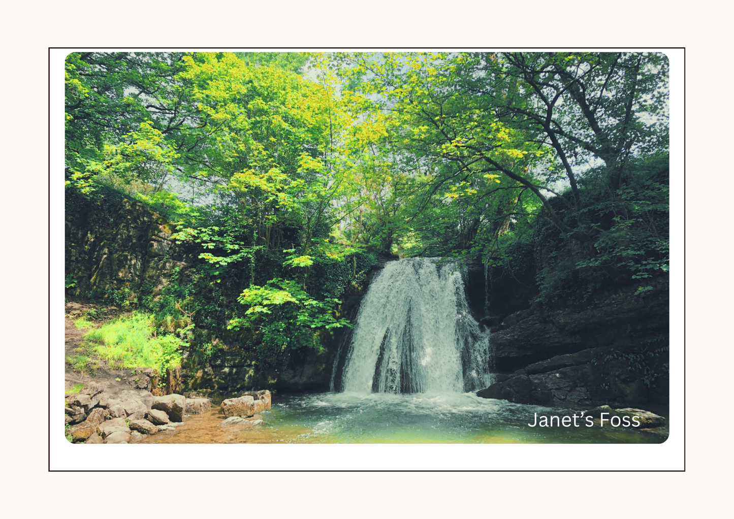 A5 Seeded 2025 Bespoke or Yorkshire Dales  Partially Seeded or Fully Seeded Calendar, plantable, Bee and Butterfly friendly, Unique Gift Idea, waste free, Eco friendly